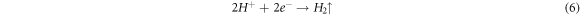 Equation (6)