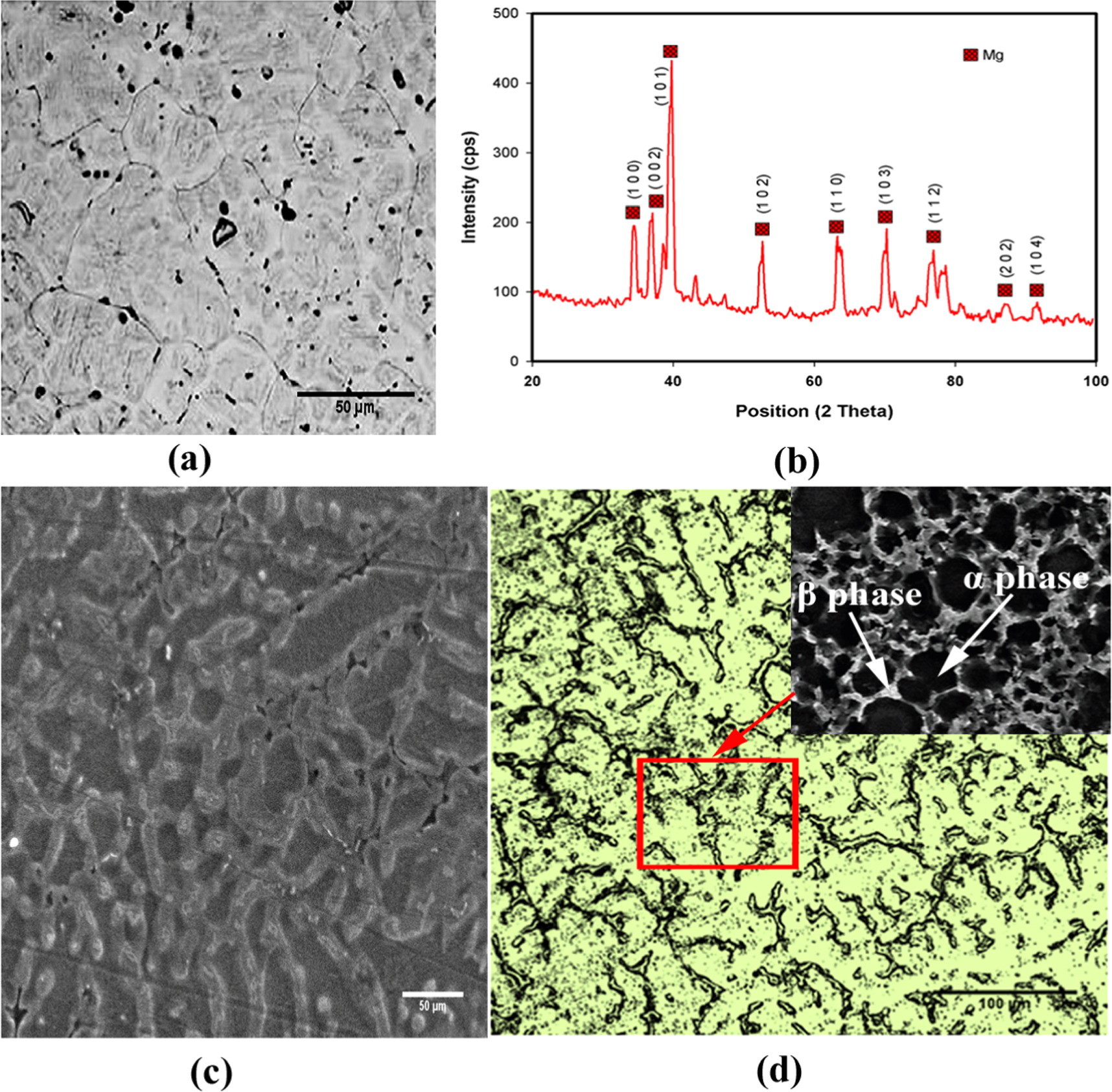 A contrastive characterization of pure Mg and AZ91D alloy based on the ...