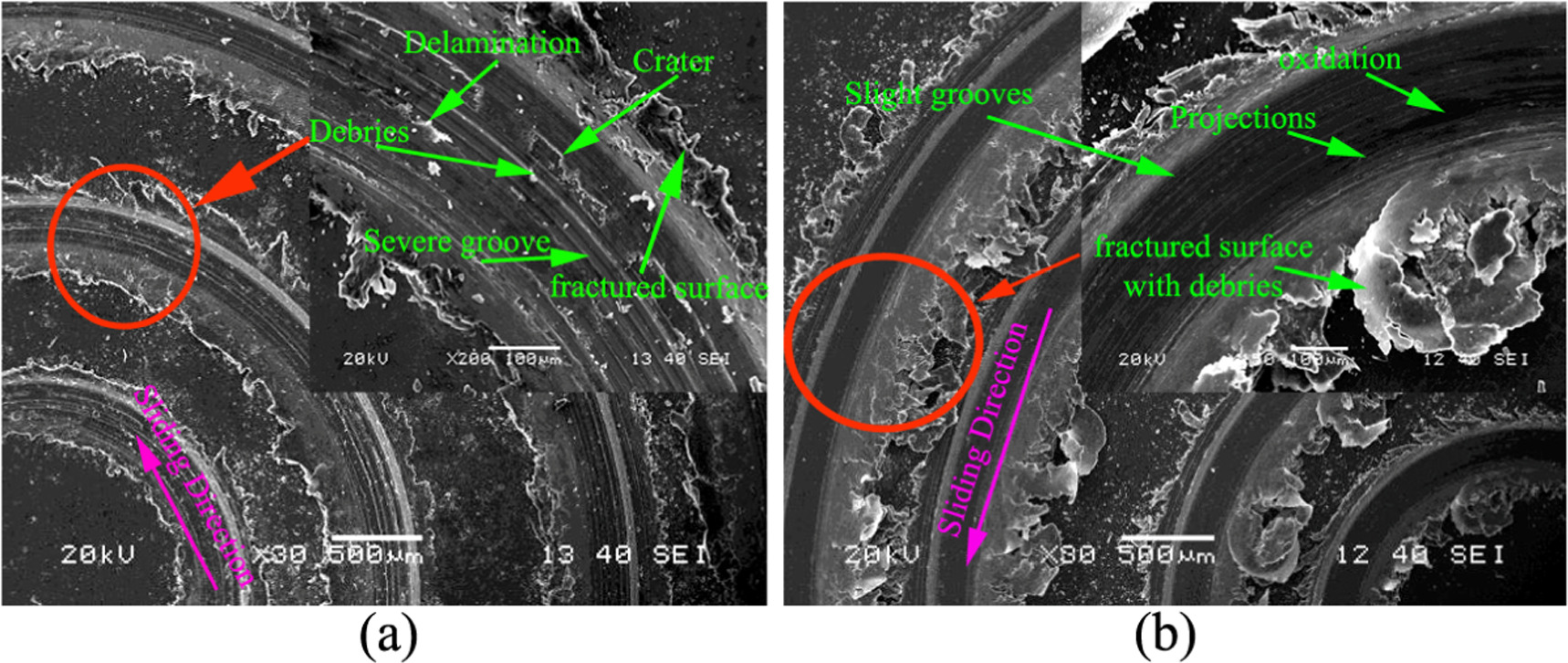A contrastive characterization of pure Mg and AZ91D alloy based on the ...