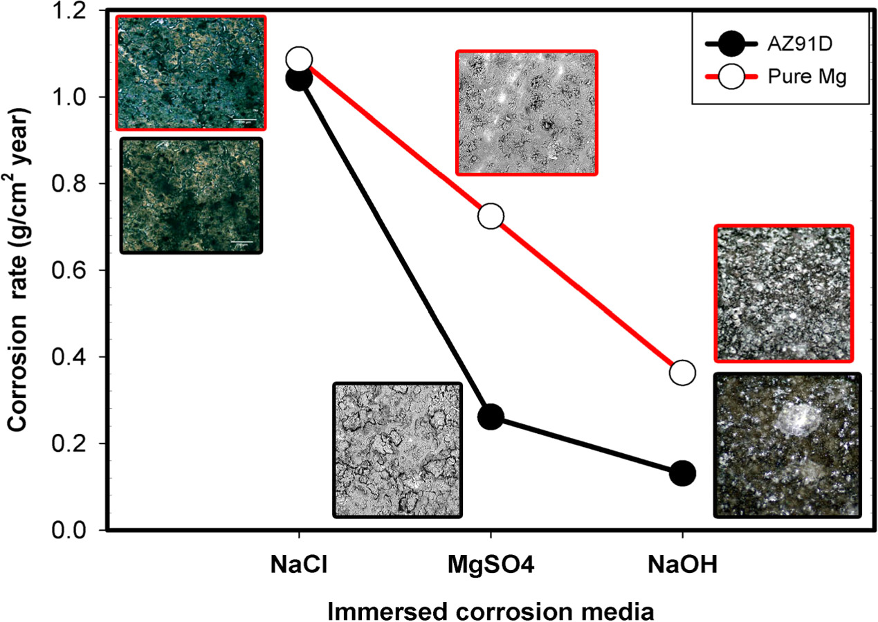 A contrastive characterization of pure Mg and AZ91D alloy based on the ...