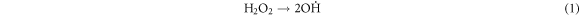 Equation (1)