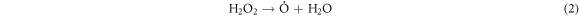 Equation (2)