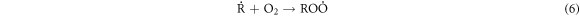 Equation (6)