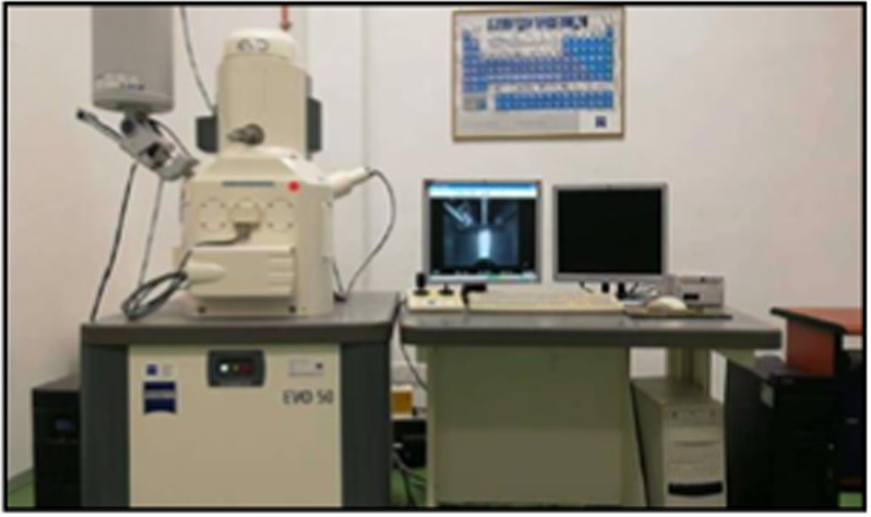 Effects of bio-inspired infill design on the mechanical properties of ...