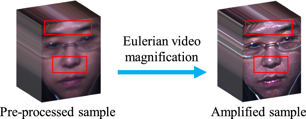 Micro-expression recognition based on euler video magnification and 3D ...