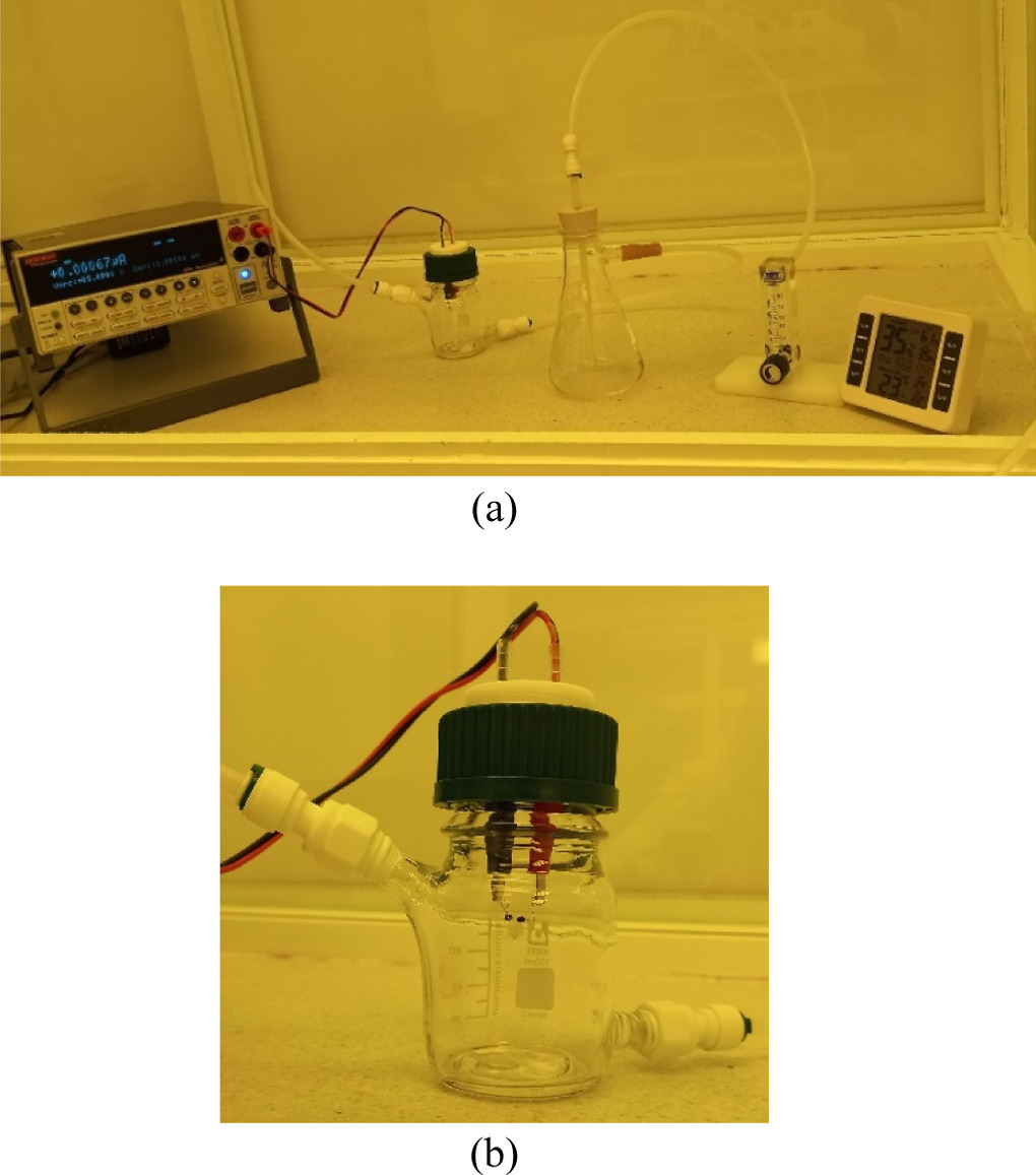 Fabrication of solution-processed flexible resistive gas sensors based ...