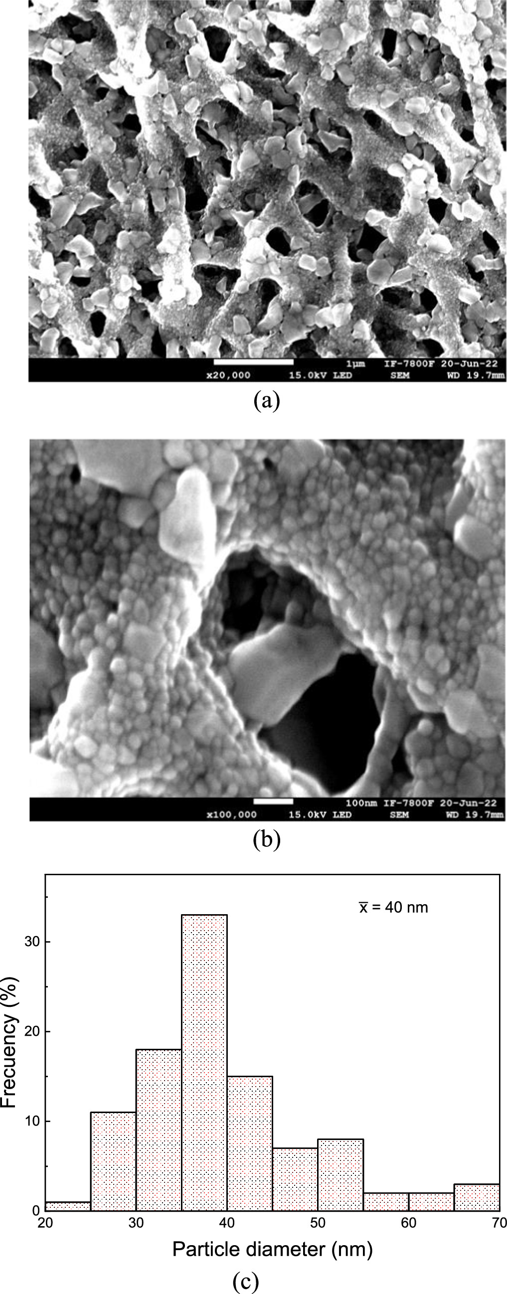 Fabrication of solution-processed flexible resistive gas sensors based ...