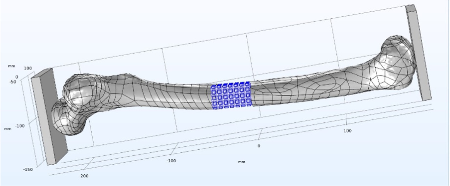 Design and parametrization of TPMS lattice using computational and ...