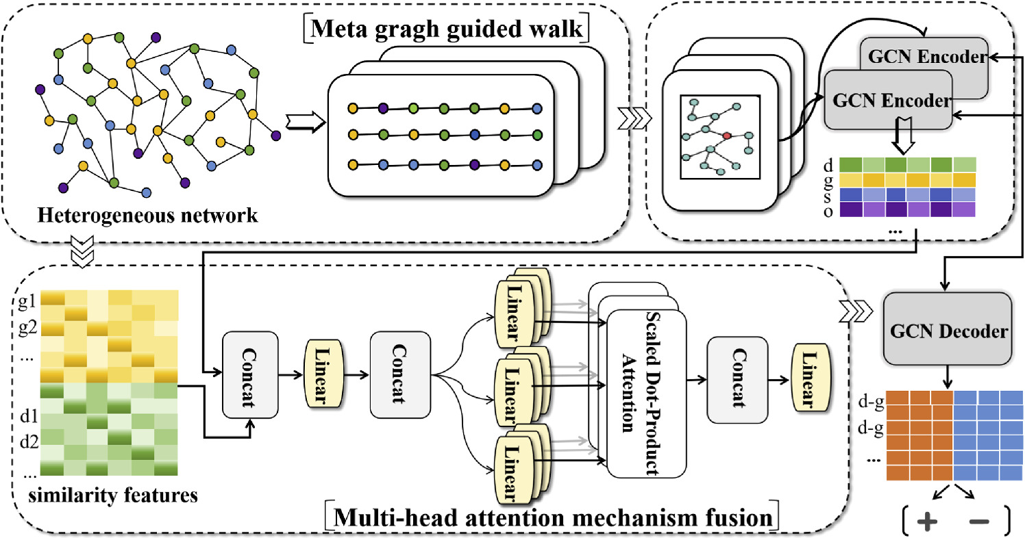 Gcn Predict AGCNAF: predicting disease-gene associations using GCN and multi-head ...