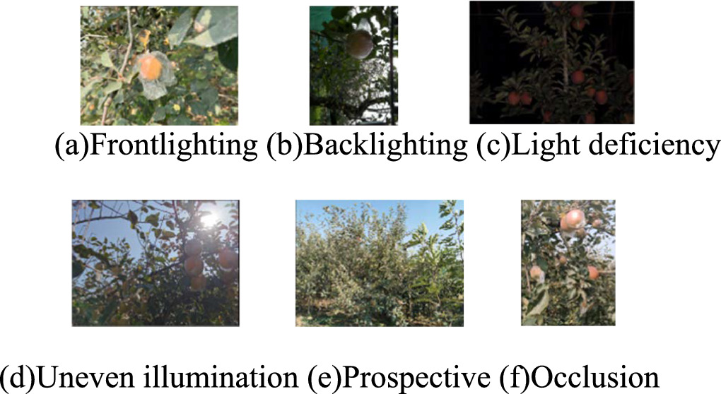 Apple detection in complex environment based on improved YOLOv8n ...