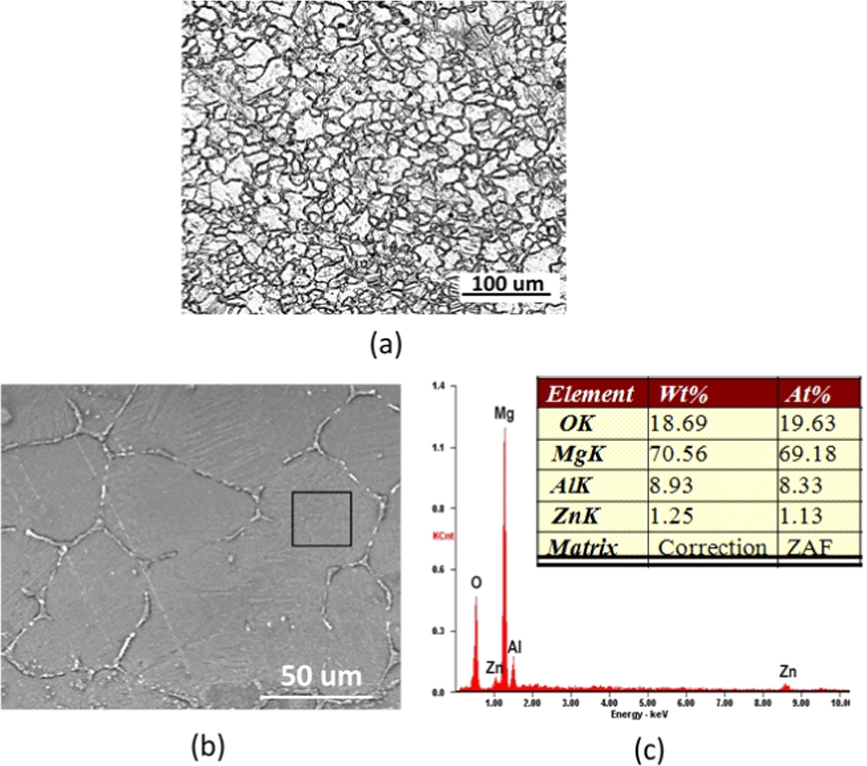 Role of surface grain refinement in AZ31 Mg alloy by shot peening on ...