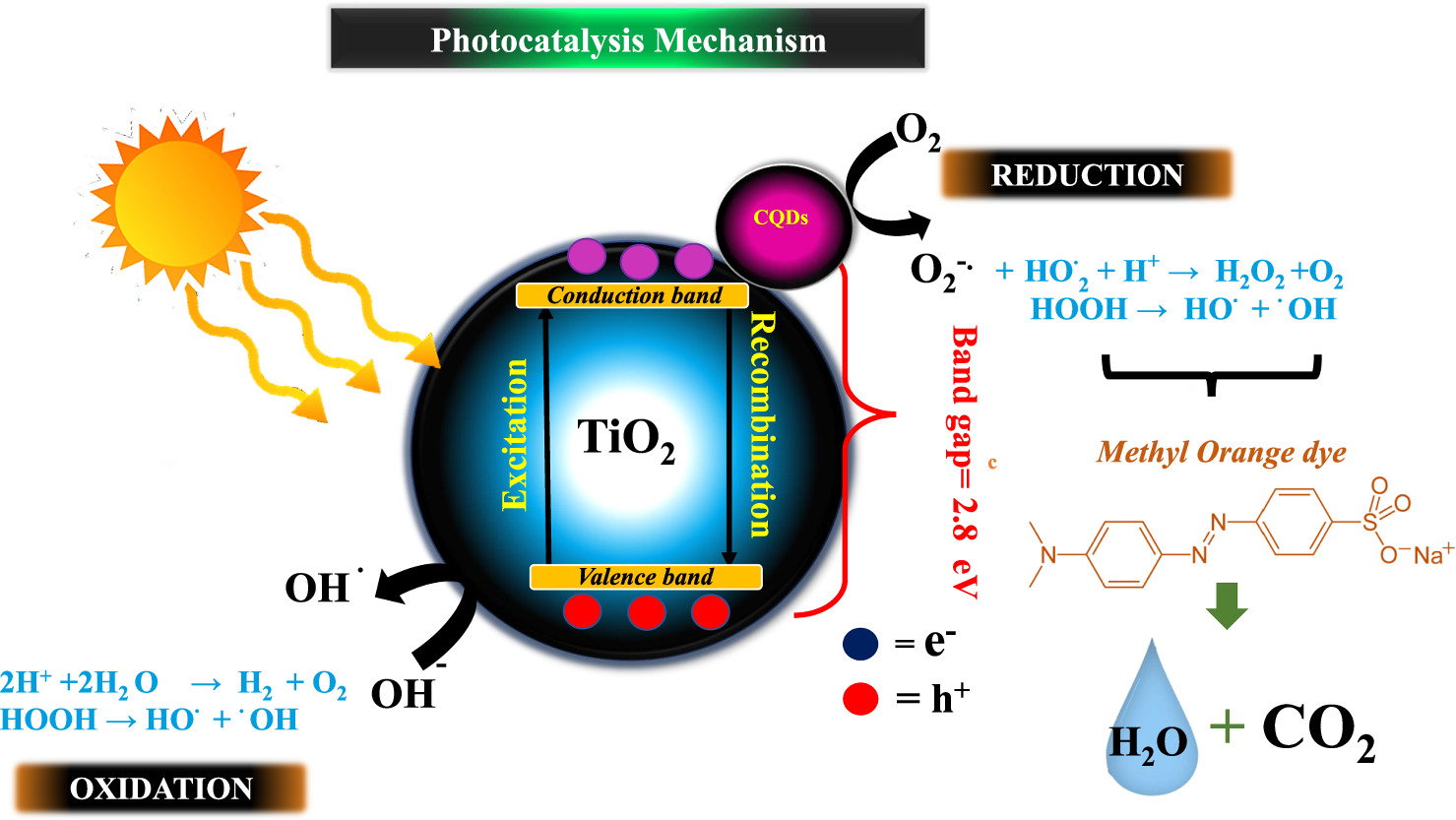 Development of Eco-friendly CQDs/TiO2 nanocomposite for enhanced ...