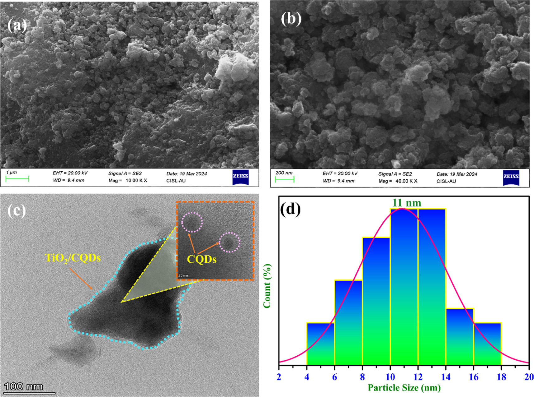 Development of Eco-friendly CQDs/TiO2 nanocomposite for enhanced ...