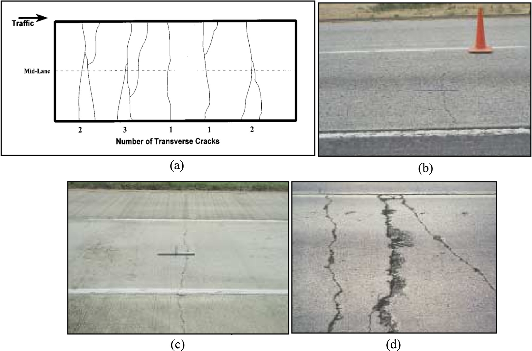 Transverse Tree Cracks Example Predictive modeling of transverse cracking in continuously reinforced ...