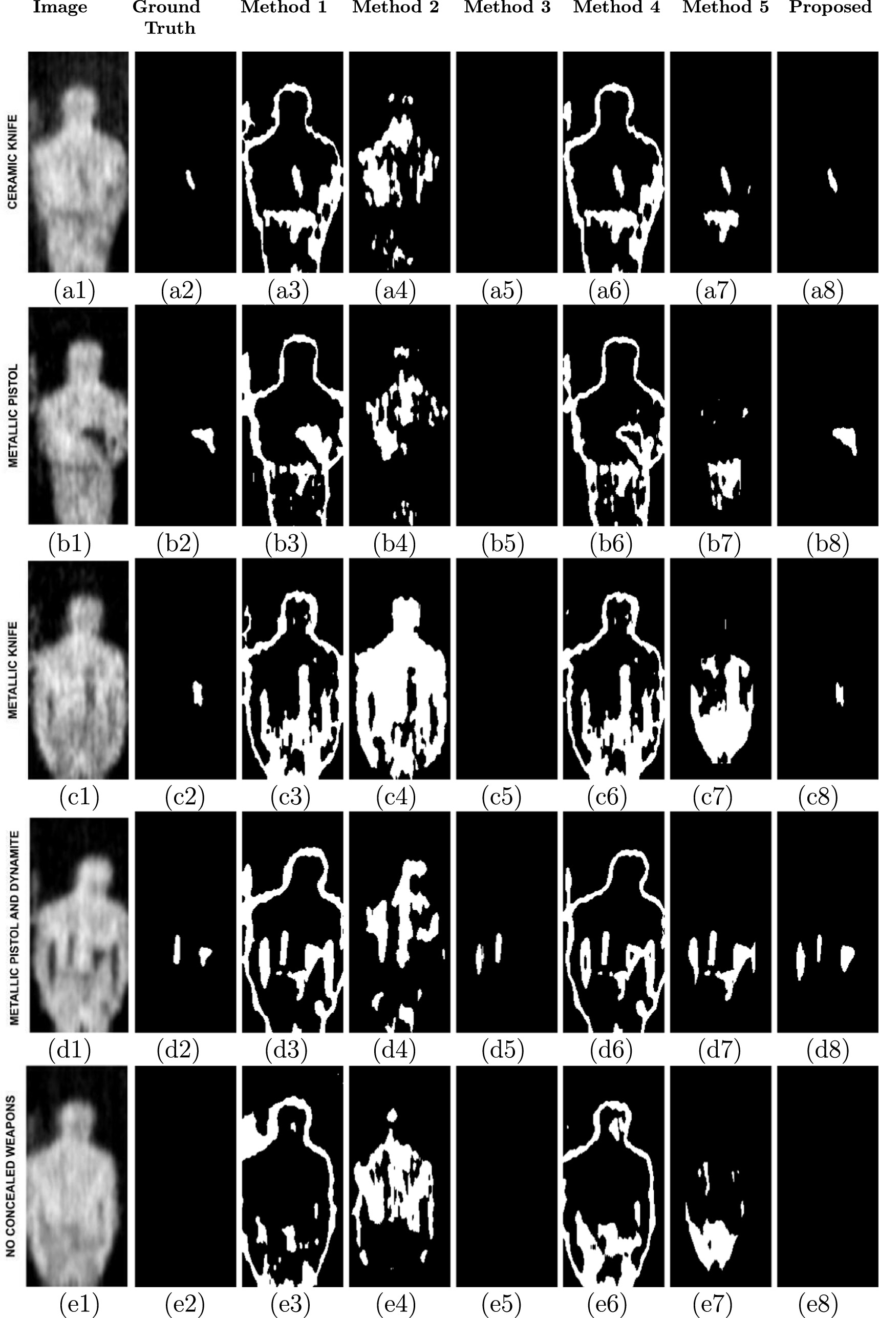 A novel concealed object detection algorithm for entry control and ...