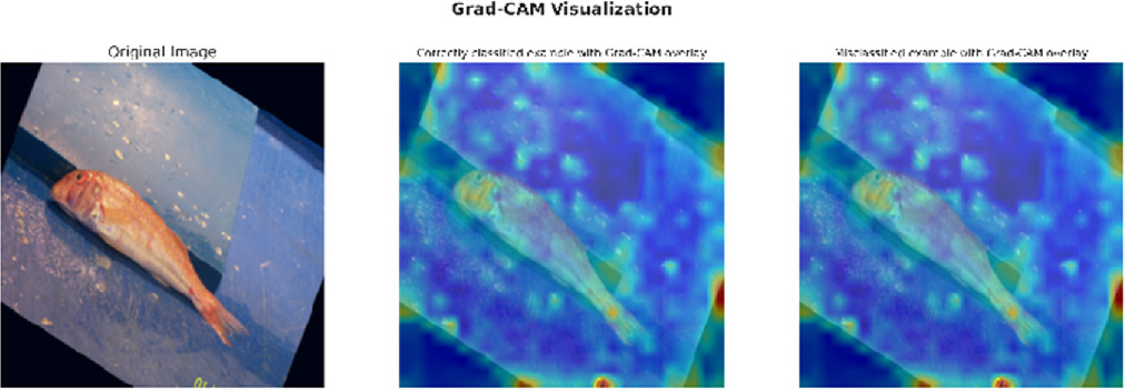 A robust deep learning model for fish image classification - IOPscience