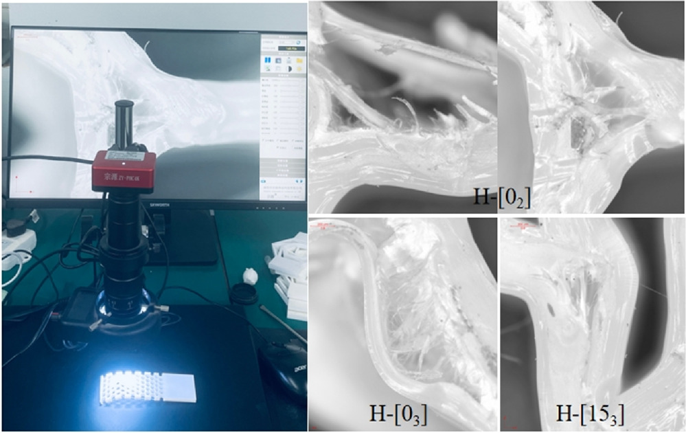 Failure mode of single shear and double shear porous panel