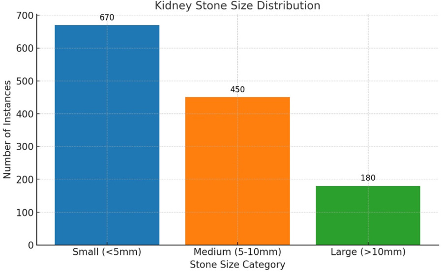 Kidney stone detection in CT scans using attention based multi-path ...