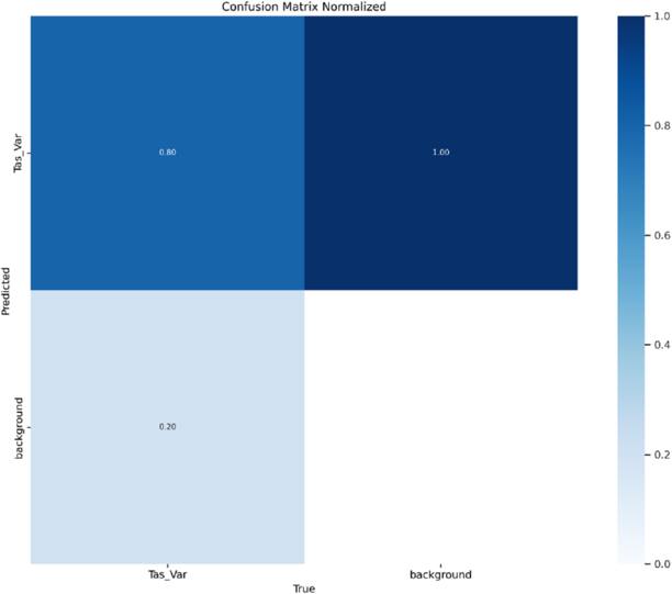 Kidney stone detection in CT scans using attention based multi-path ...