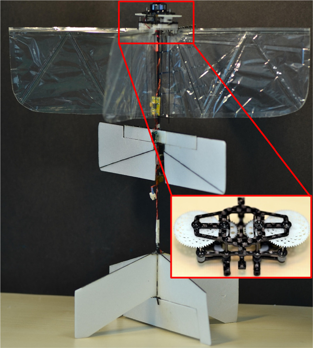 Experimental and numerical analysis of an optimized flapping wing ...