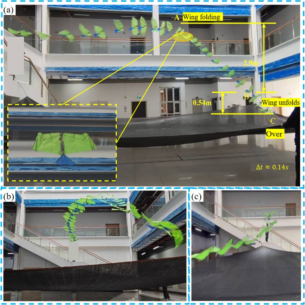 Design of bionic flapping-wing Vehicle for wing folding based on lever ...