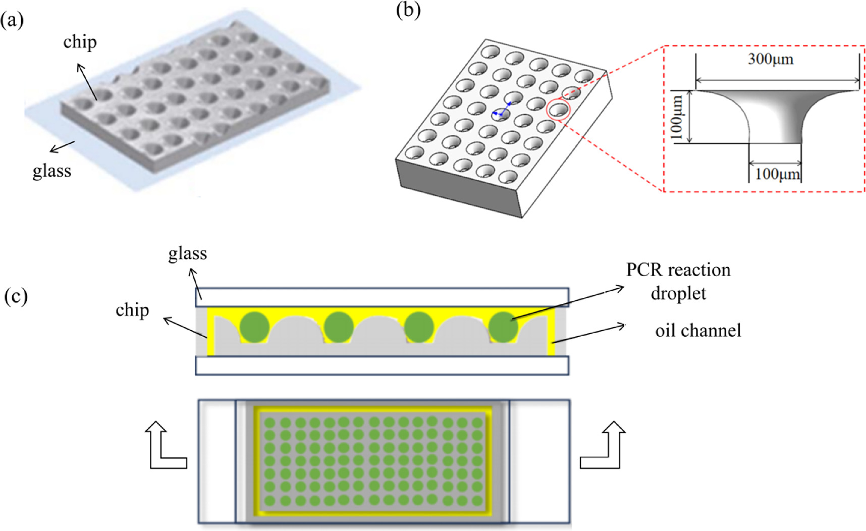 Bioinspired microfluidic chip for fluorescent detection of ultrafast ...