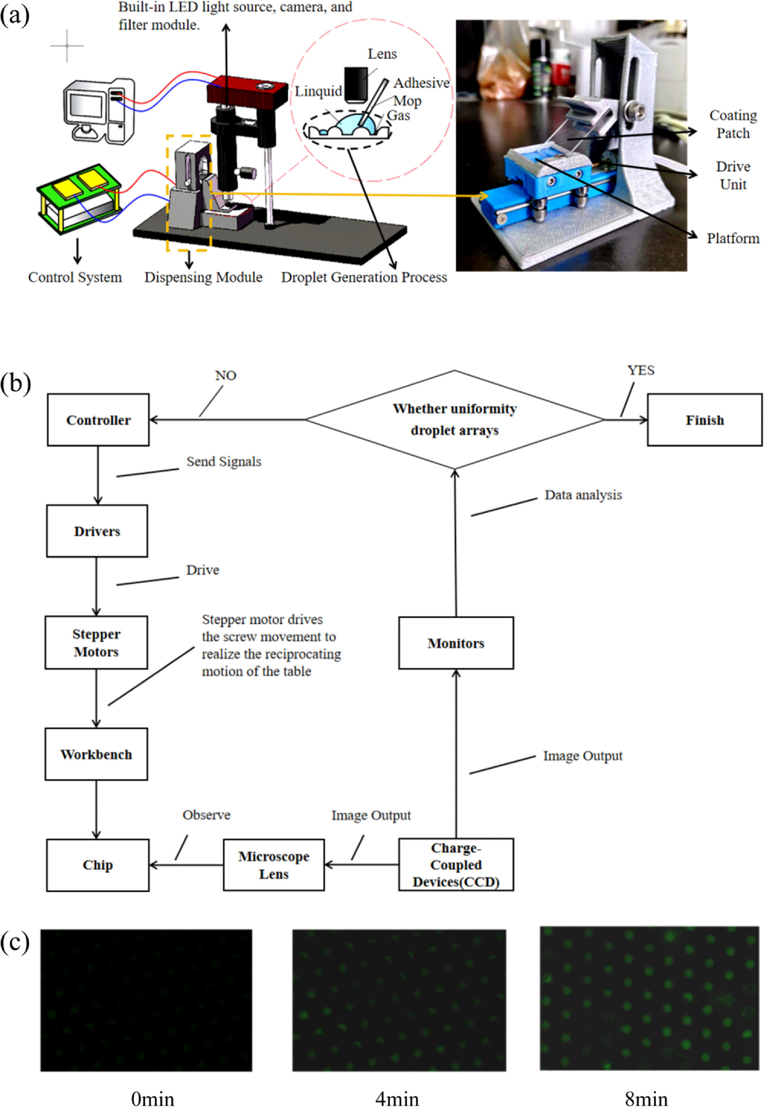 Bioinspired microfluidic chip for fluorescent detection of ultrafast ...