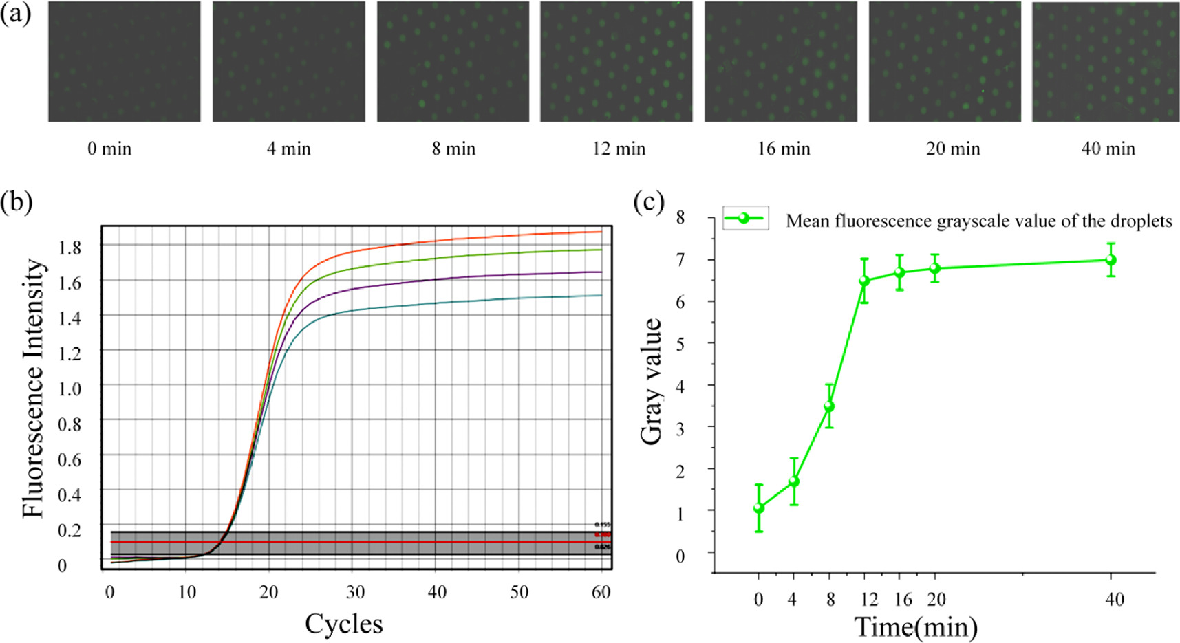 Bioinspired microfluidic chip for fluorescent detection of ultrafast ...