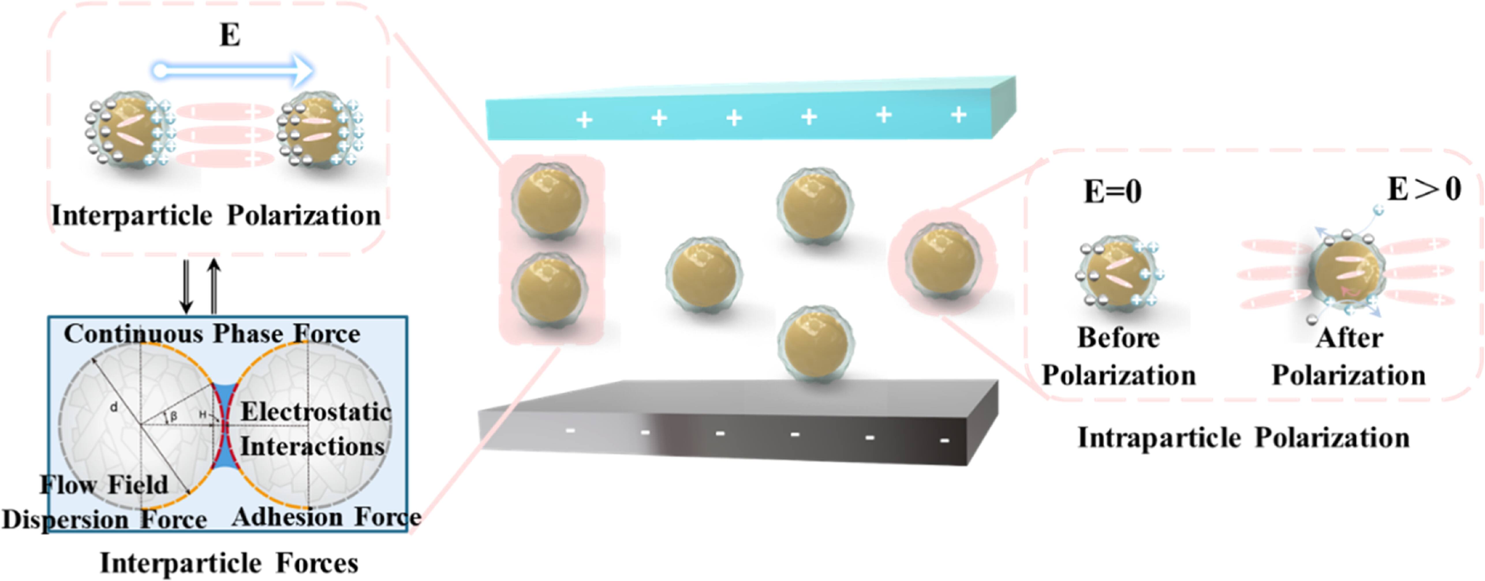Current electrorheological fluids from a multidisciplinary perspective ...
