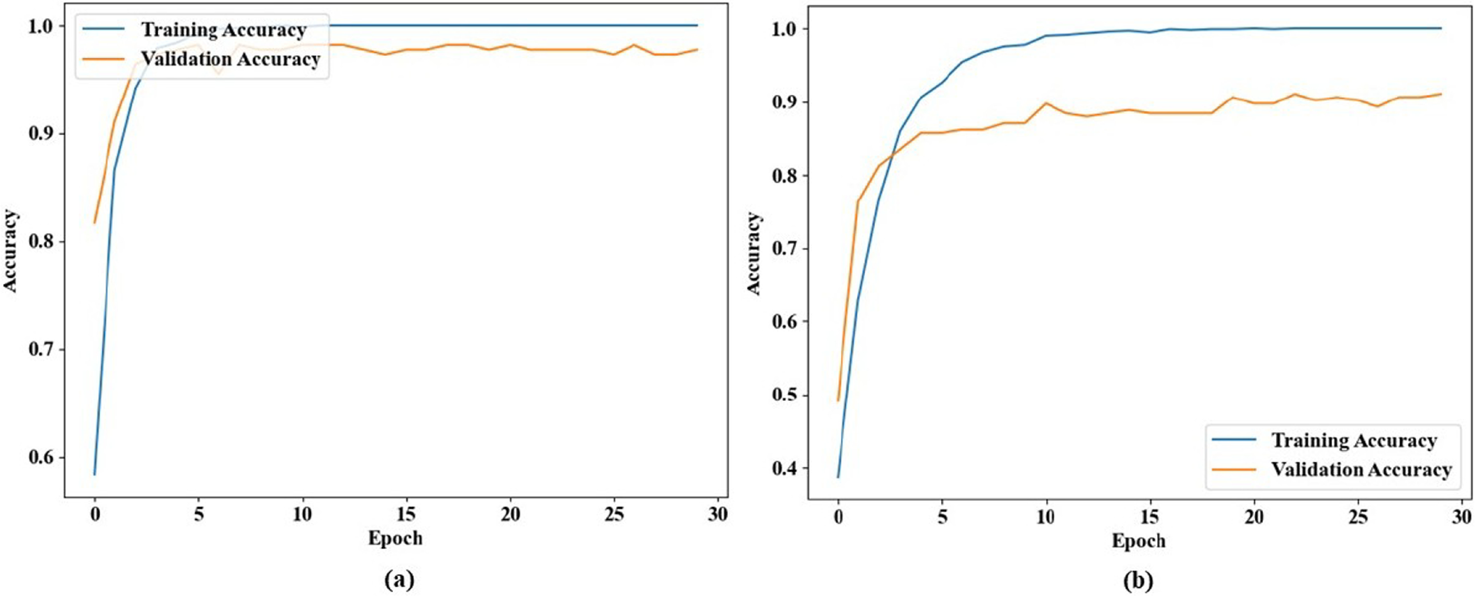 Arrhythmias detection using ECG with deep learning and superlet ...