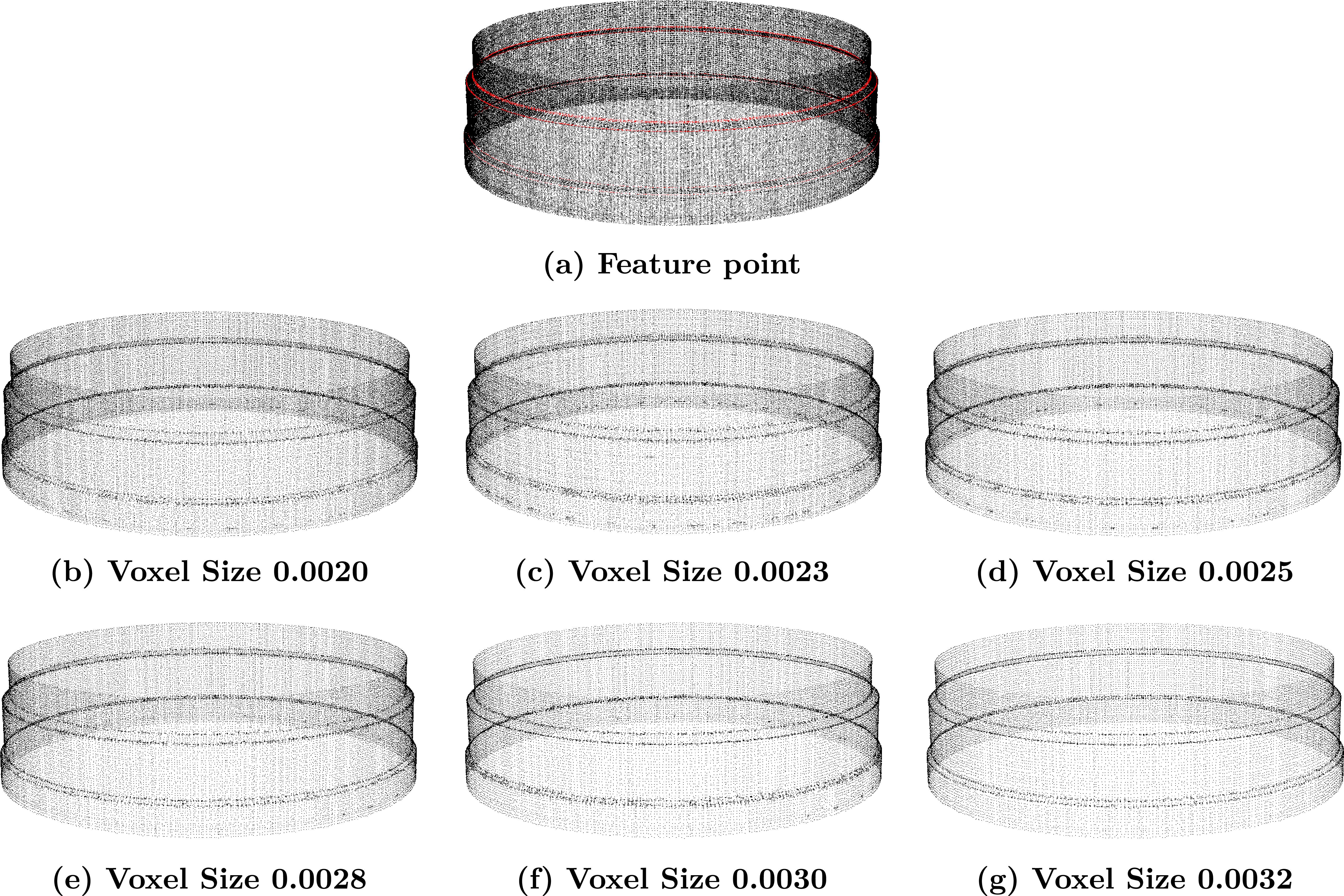 Laser point cloud processing method for retaining features of ring ...