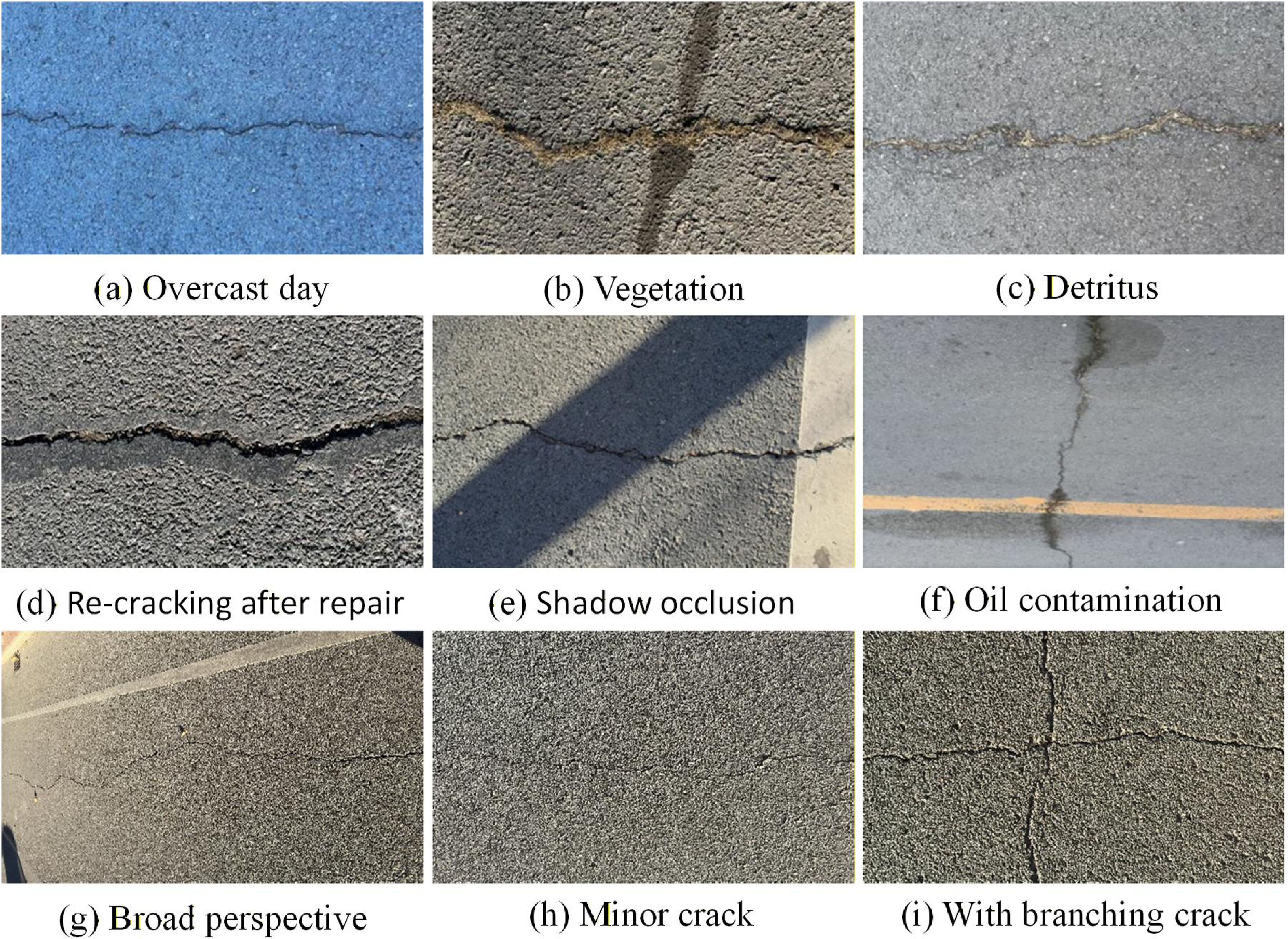 Map Cracking Asr Lightweight segmentation algorithm for real-time asphalt pavement crack ...