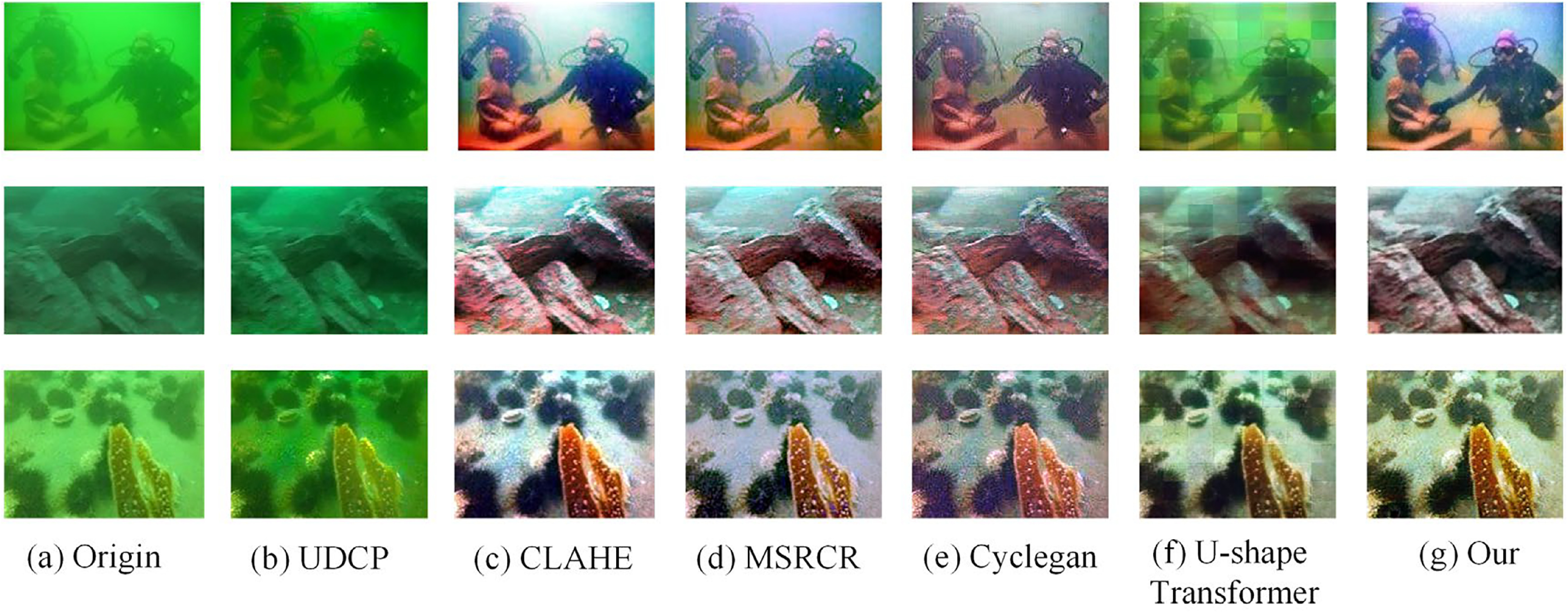 Cyclegan Algorithm DMS-CycleGAN: an effective underwater image enhancement method - IOPscience