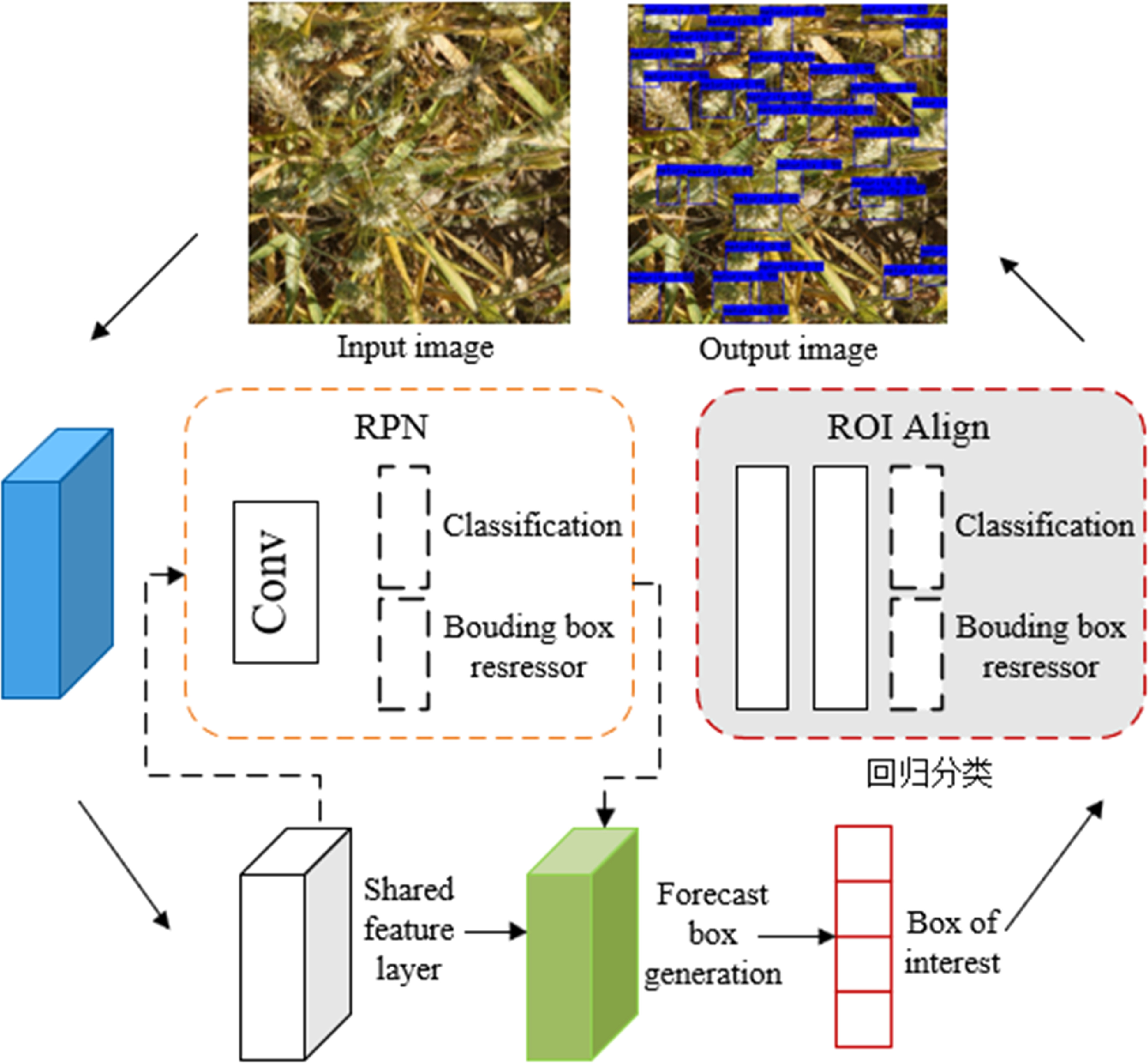 Research on field wheat maturity detection algorithm based on improved ...