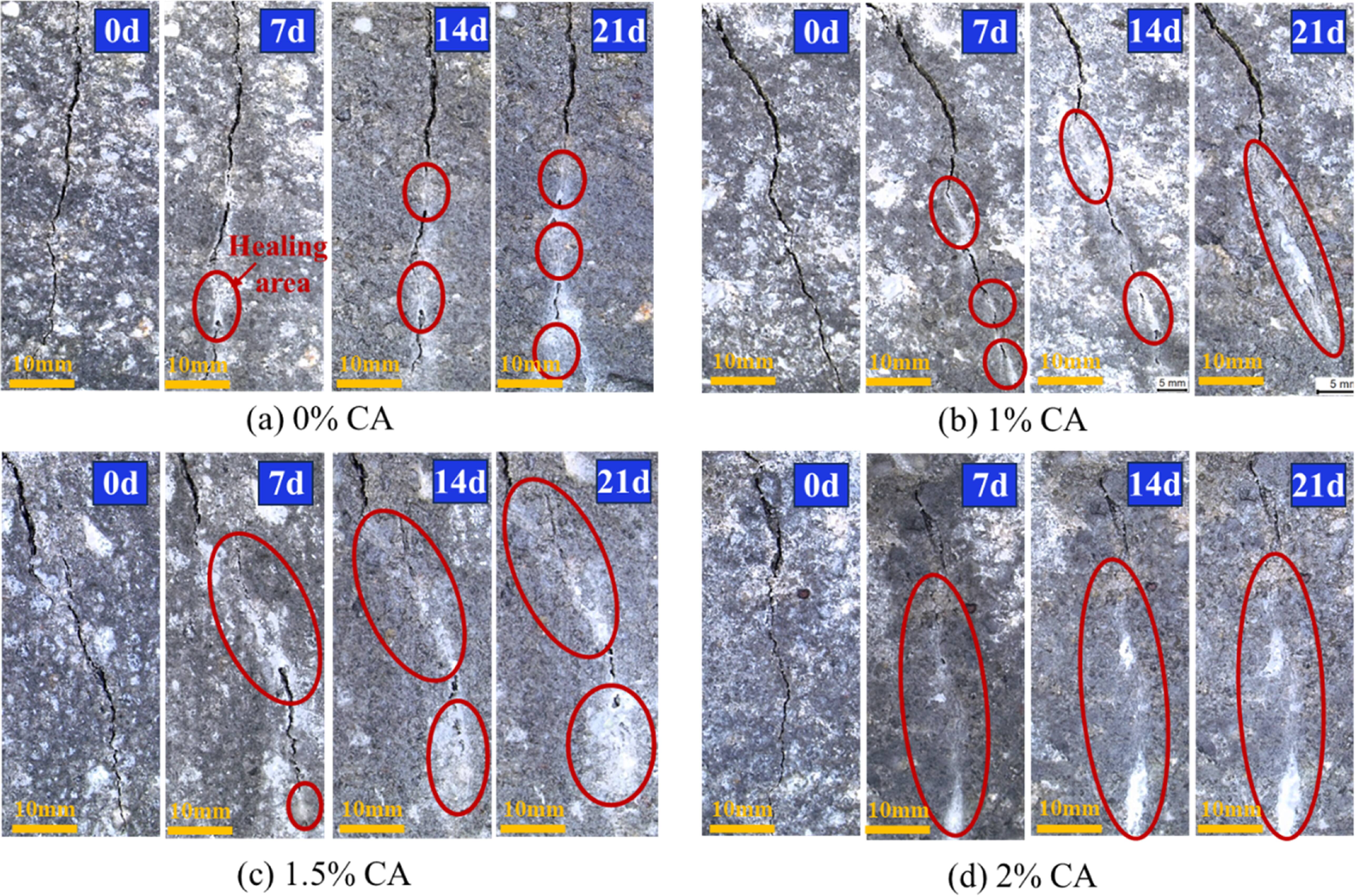 Plm Injection Mortar Performance improvement for the roller shooting mortar via crystalline ...