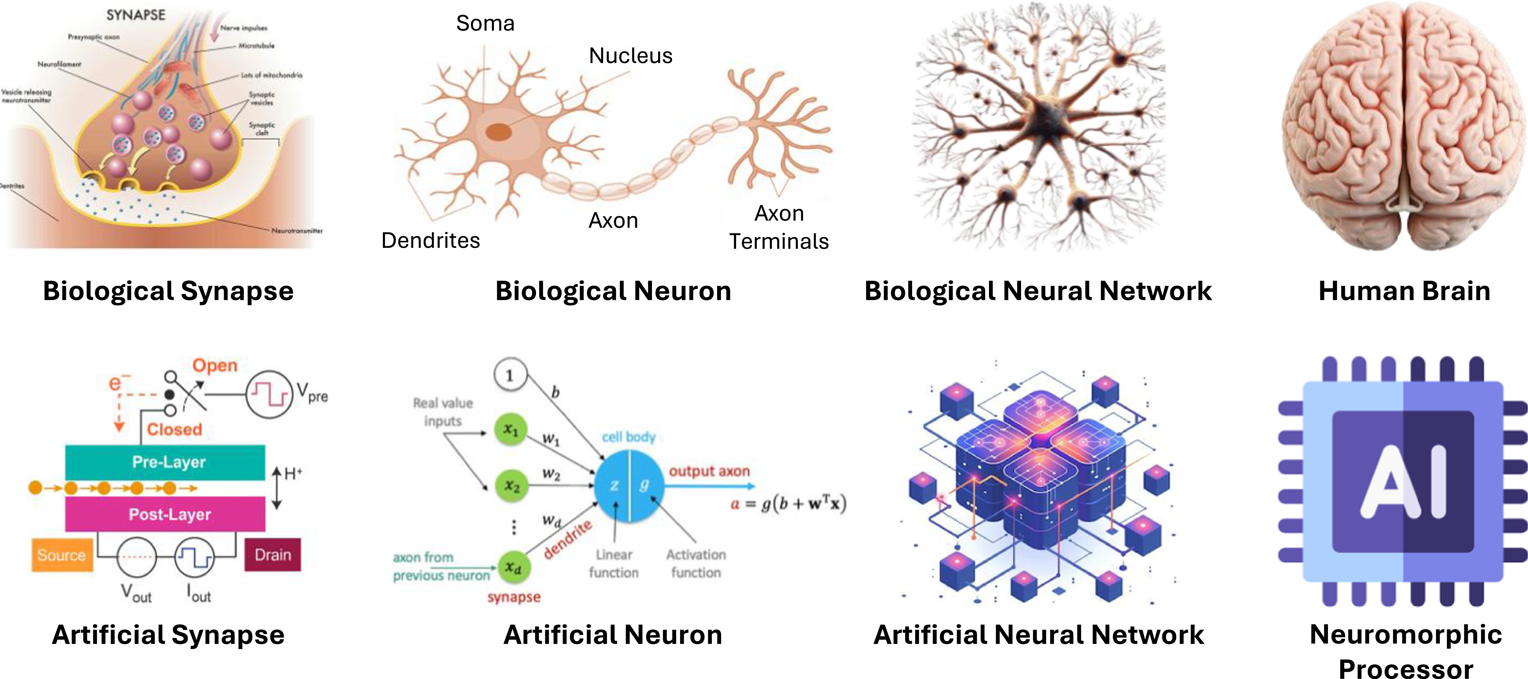 Neuromorphic computing for energy-efficient machine intelligence ...