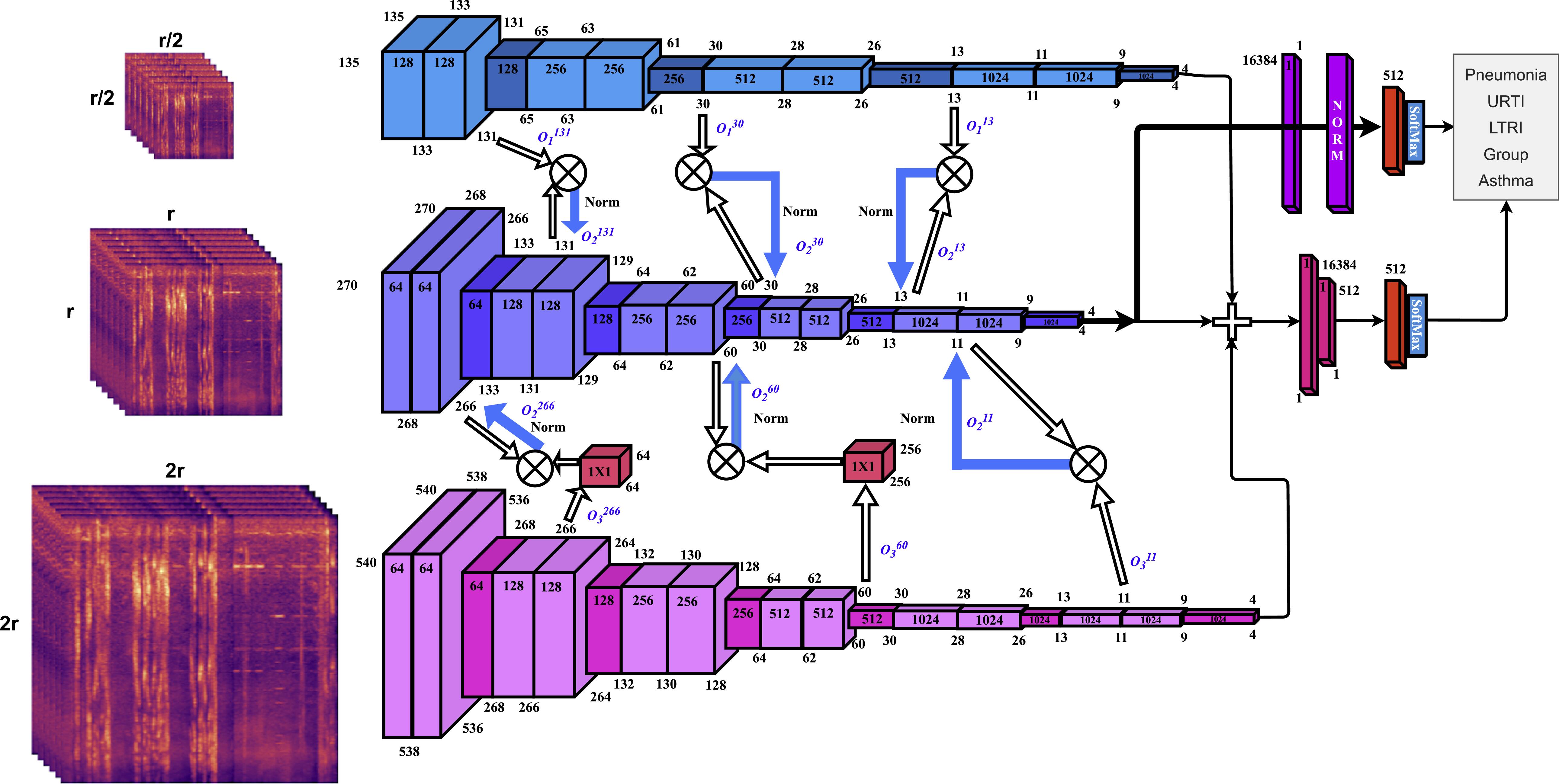 Stretched image resolution augmented attention for classification of ...