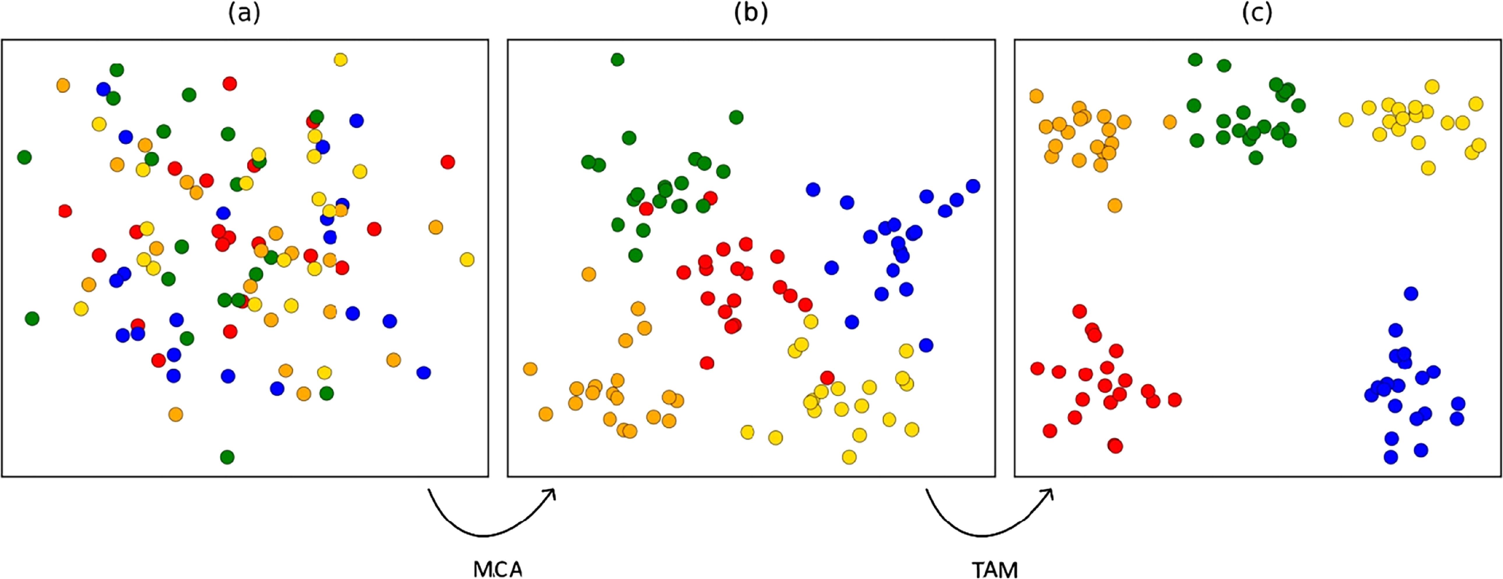 Enhancing few-shot fine-grained image classification via adaptive ...