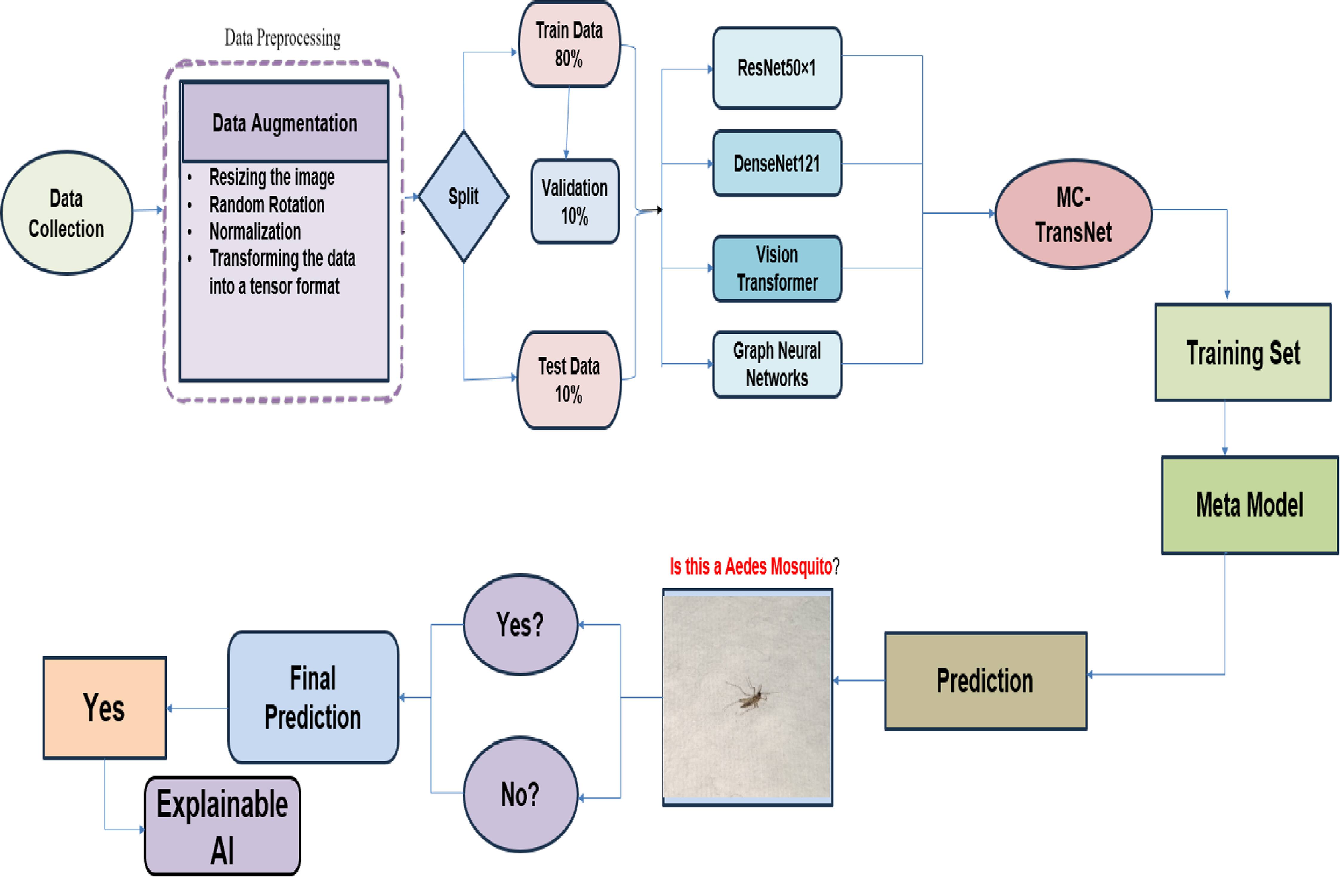 A hybrid deep learning framework for identifying Aedes aegypti ...