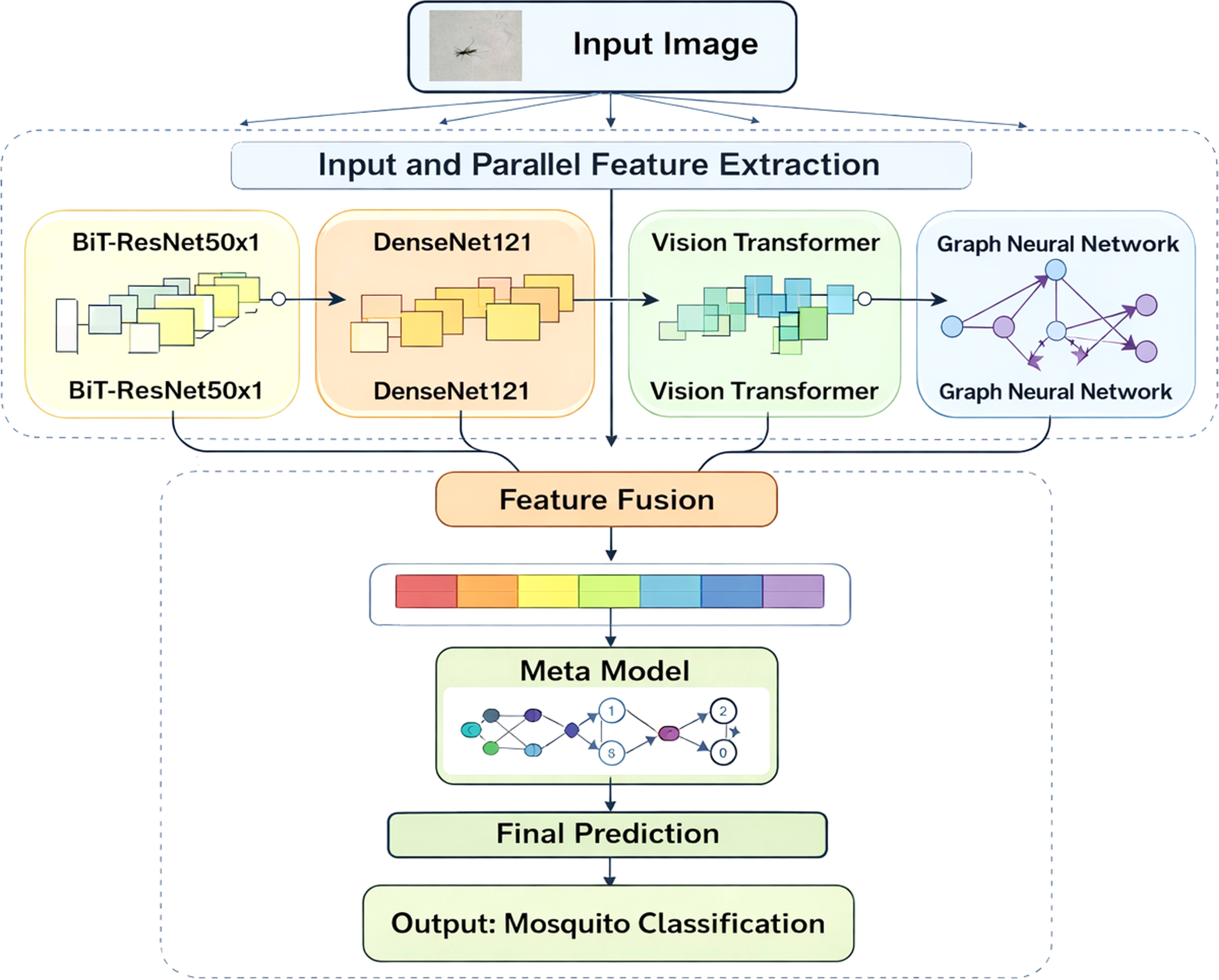 A hybrid deep learning framework for identifying Aedes aegypti ...