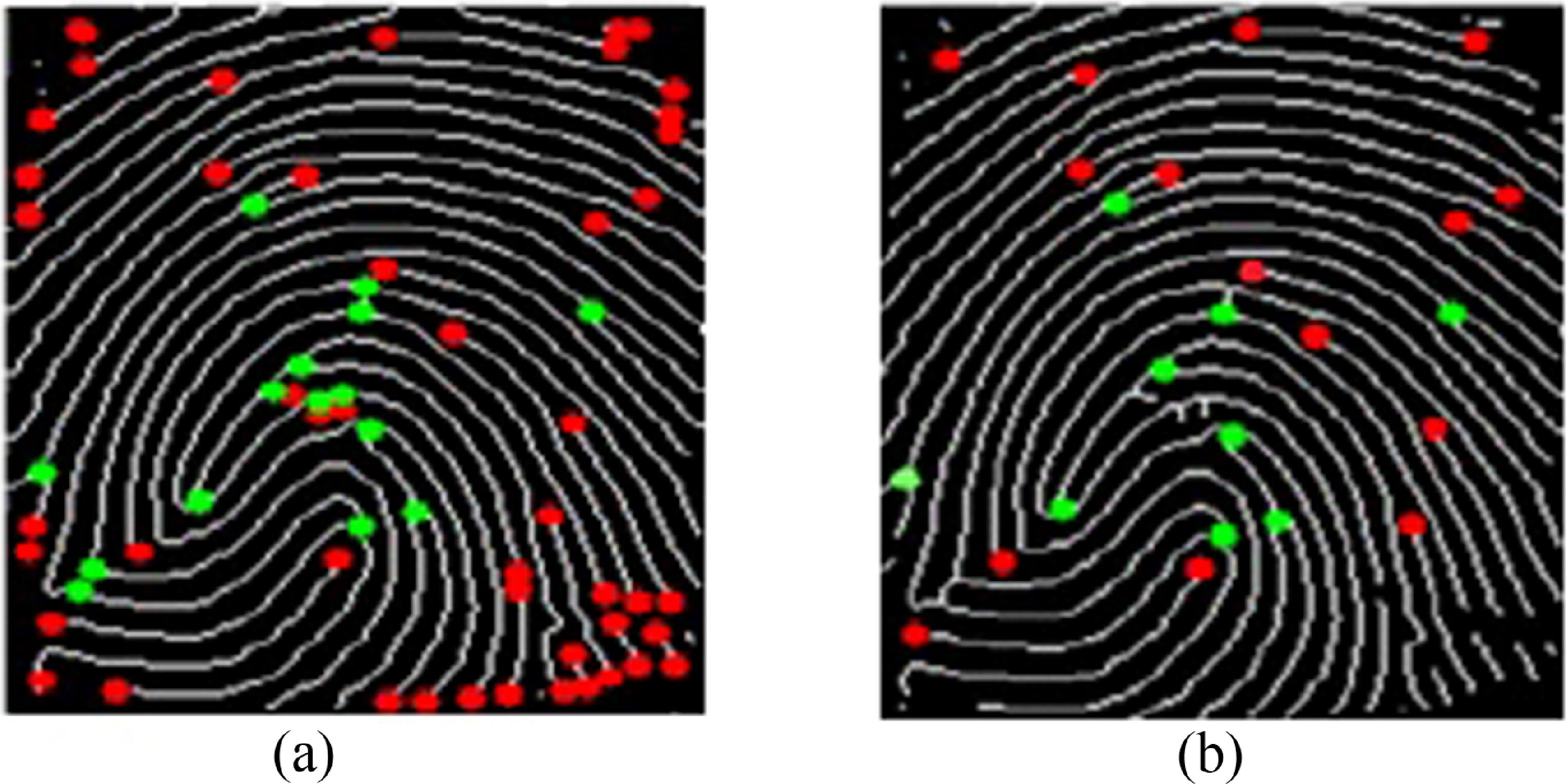 Fingerprint recognition system using score-level fusion of multi-sensor ...