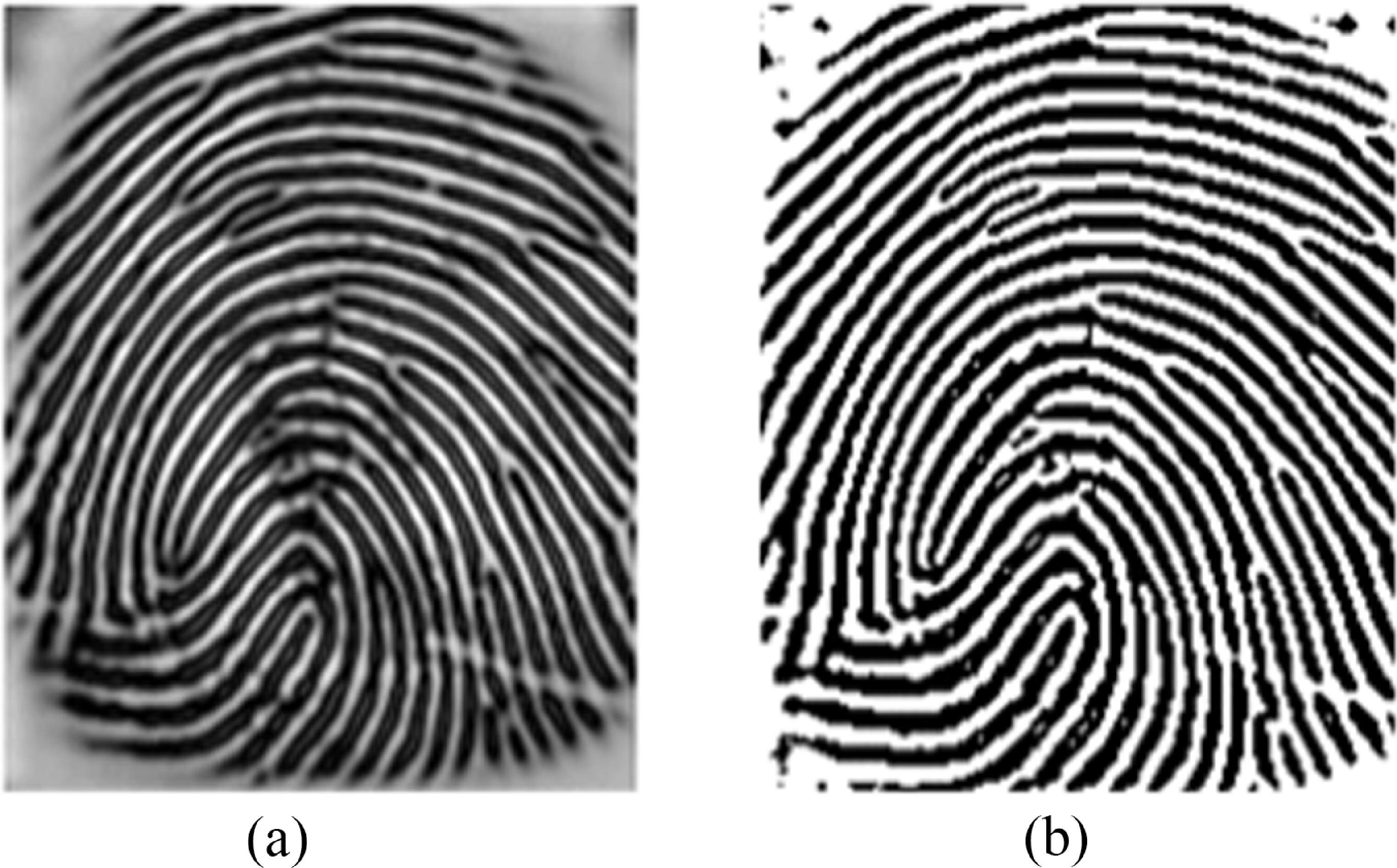 Fingerprint recognition system using score-level fusion of multi-sensor ...