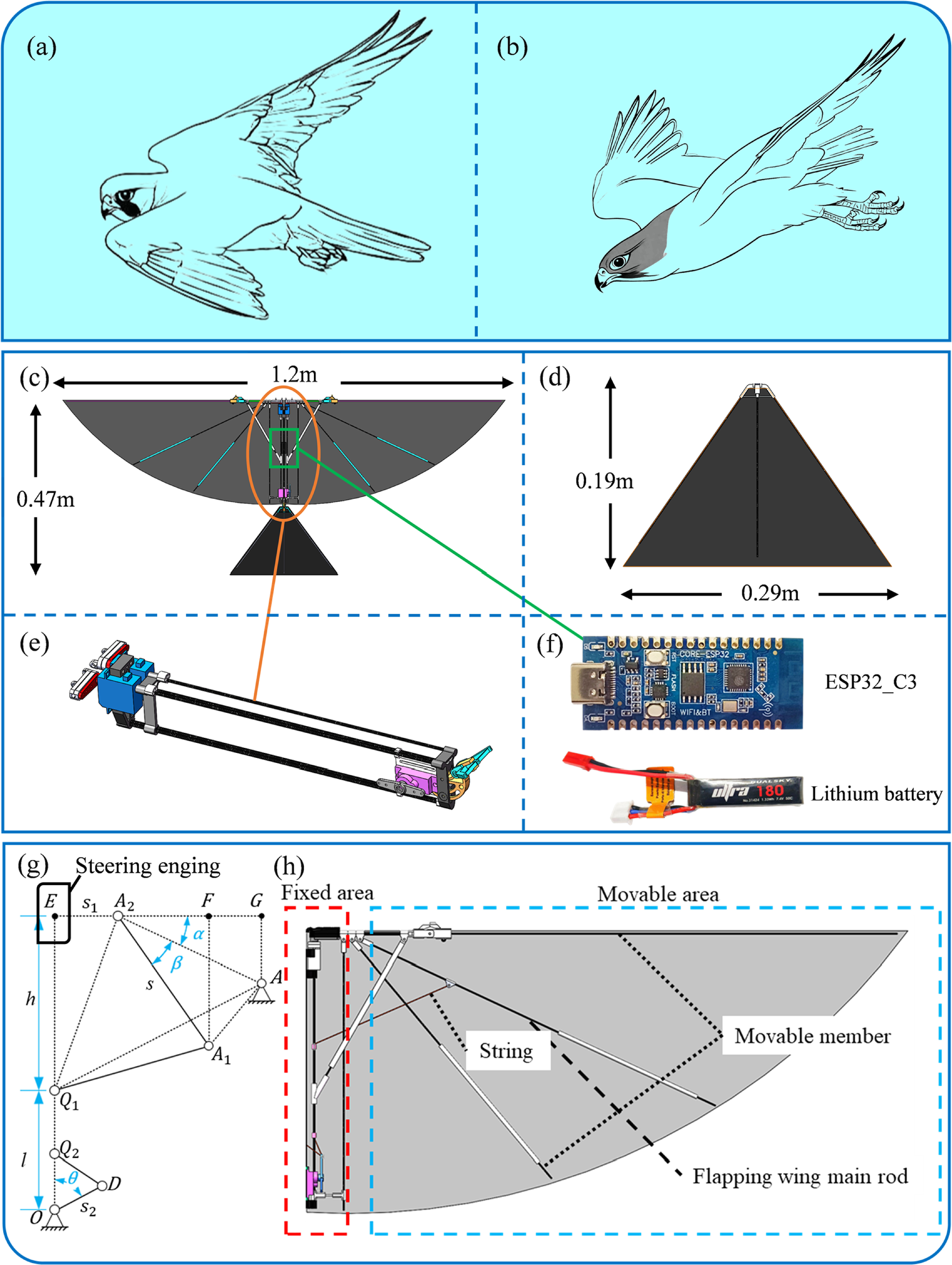 Design and performance validation of an active spanwise-folding bionic ...