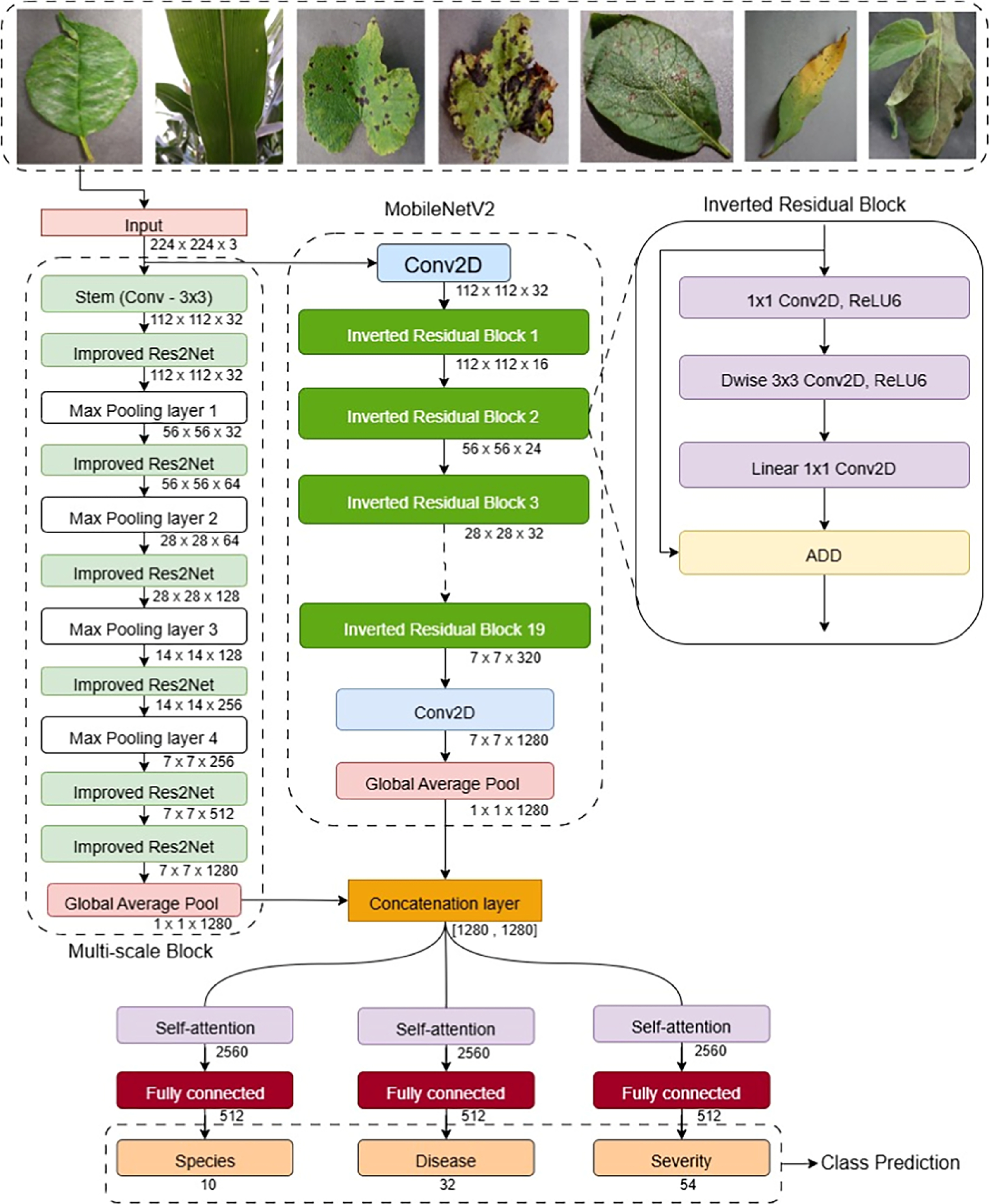 A multi-feature fusion deep neural network with attention for multi ...