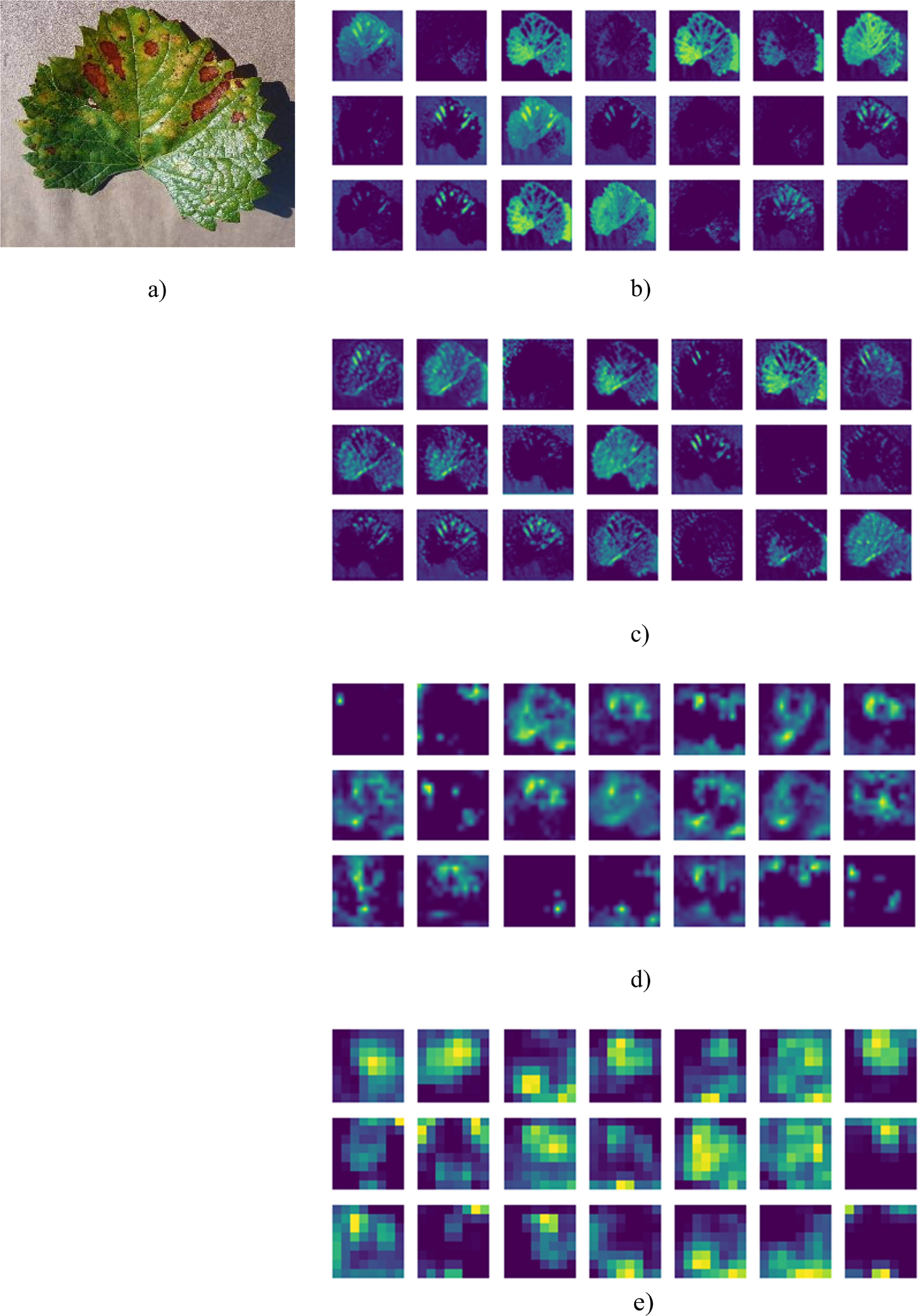 A multi-feature fusion deep neural network with attention for multi ...