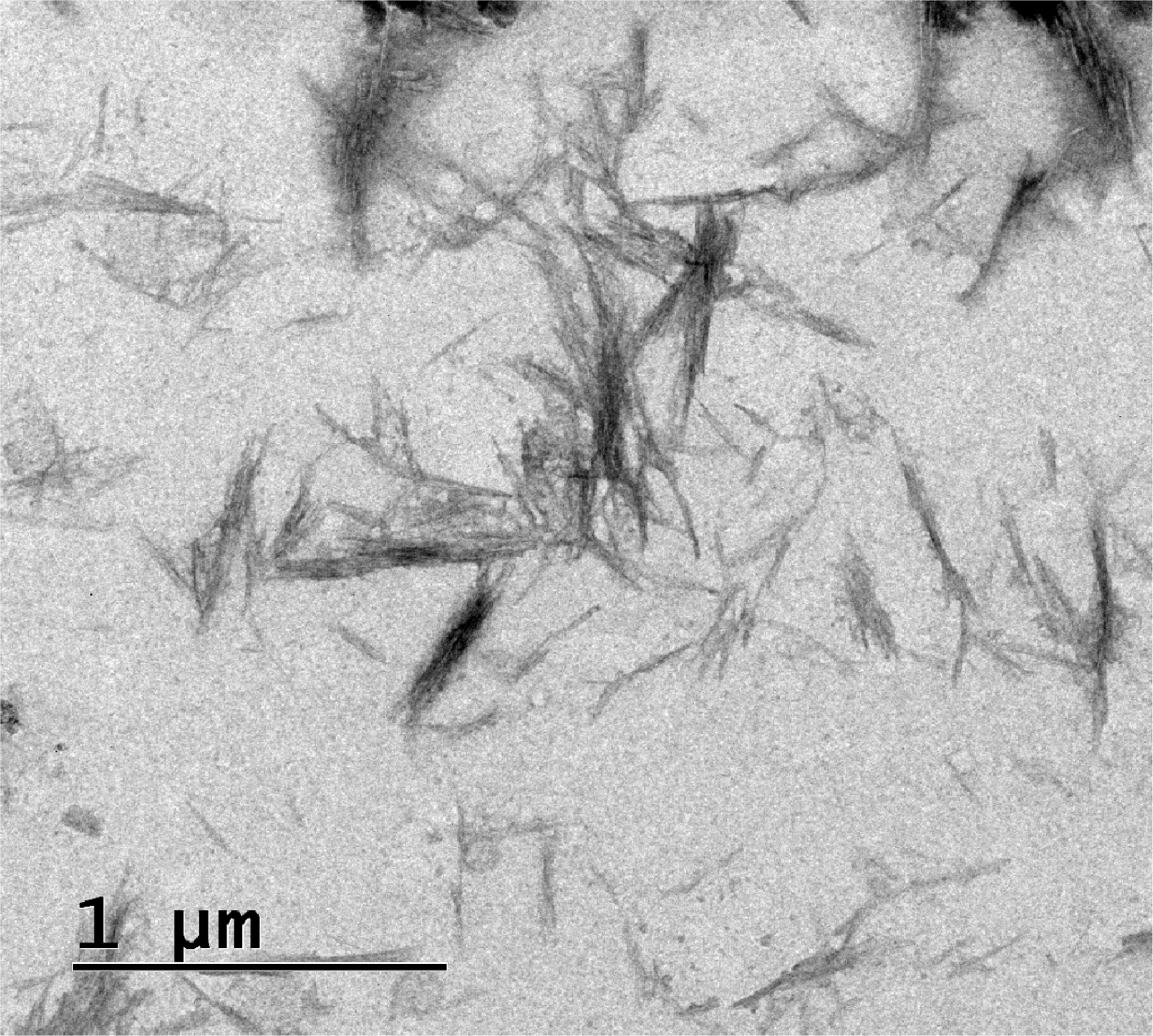 Extraction of cellulose nanocrystals from linen waste and their ...