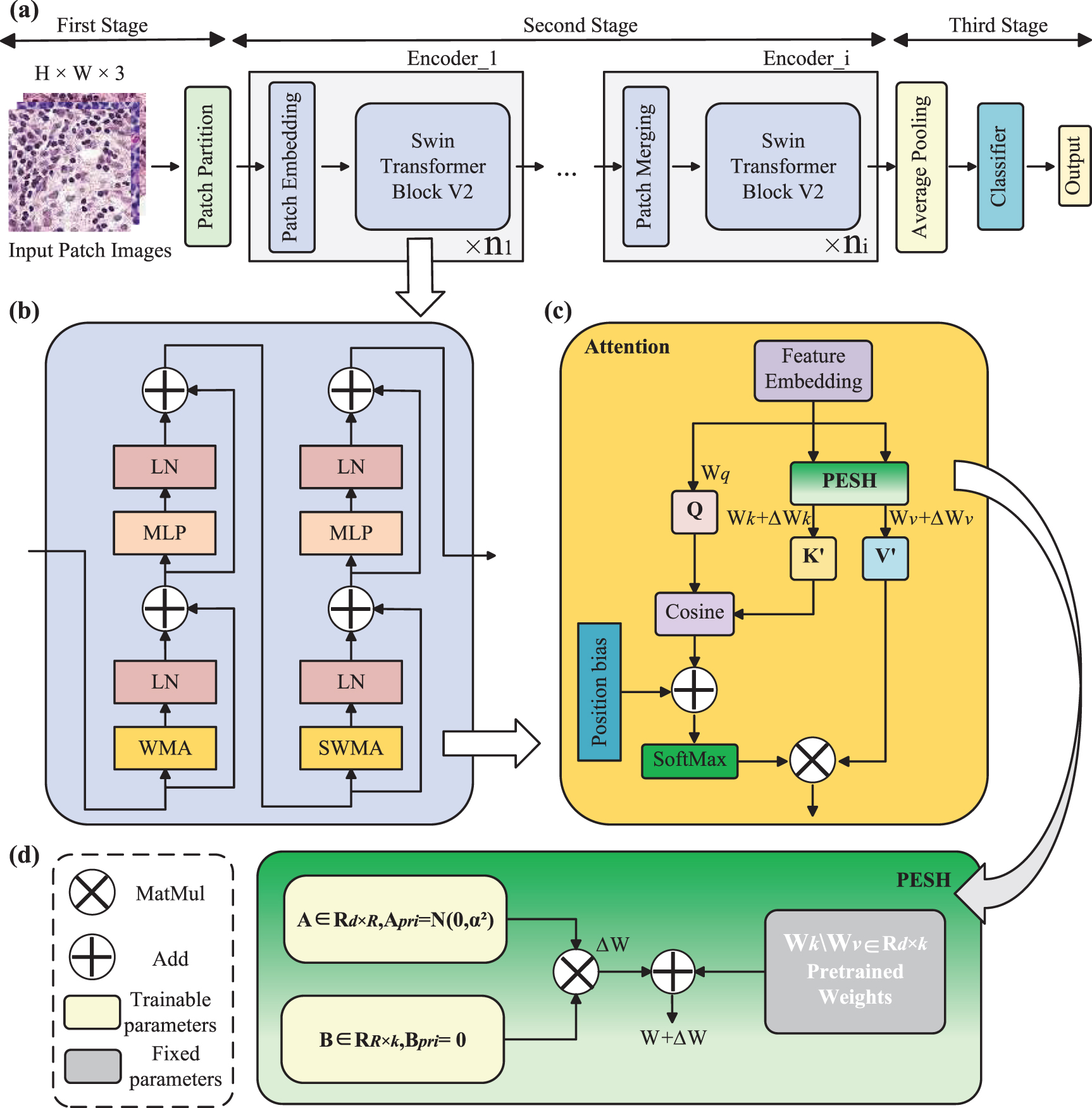 PESH: a parameter-efficient fine-tuning small sample histopathology ...