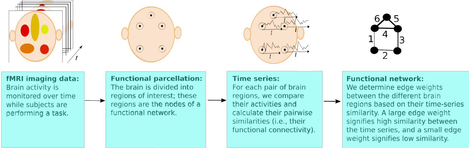 Topological data analysis of task-based fMRI data from experiments on ...