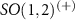 $SO(1,2)^{(+)}$