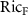 $\mathrm{Ric_F}$